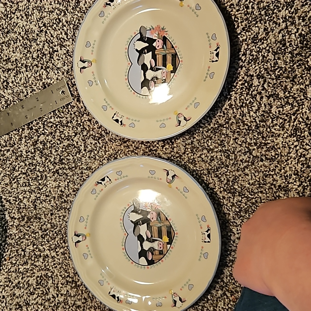 Set of 2 salad plates. Buttercup by Tienshan